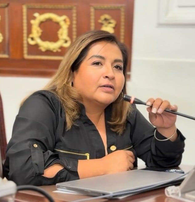Claudia Pérez, diputada del PAN en el Congreso de la CDMX