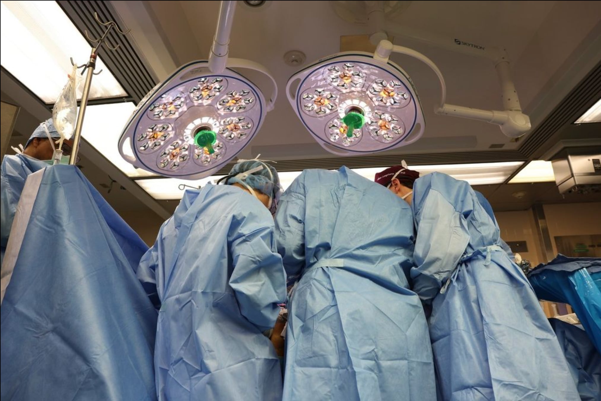 Trasplante de riñón de cerdo