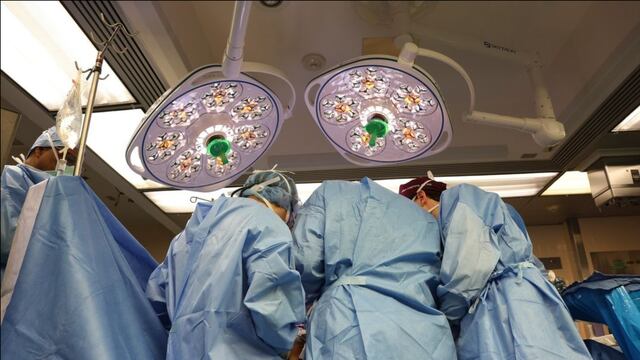 Trasplante de riñón de cerdo