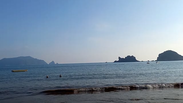 Un tiburón atacó a una mujer en Playa Melaque