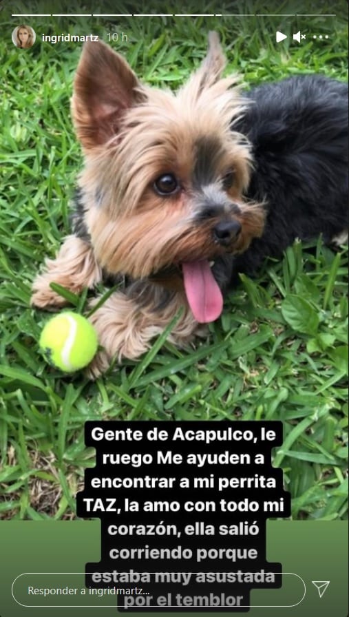 Ingrid Martz pierde a su perrita