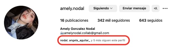 Ángela Aguilar sí sigue a Amely Nodal en Instagram