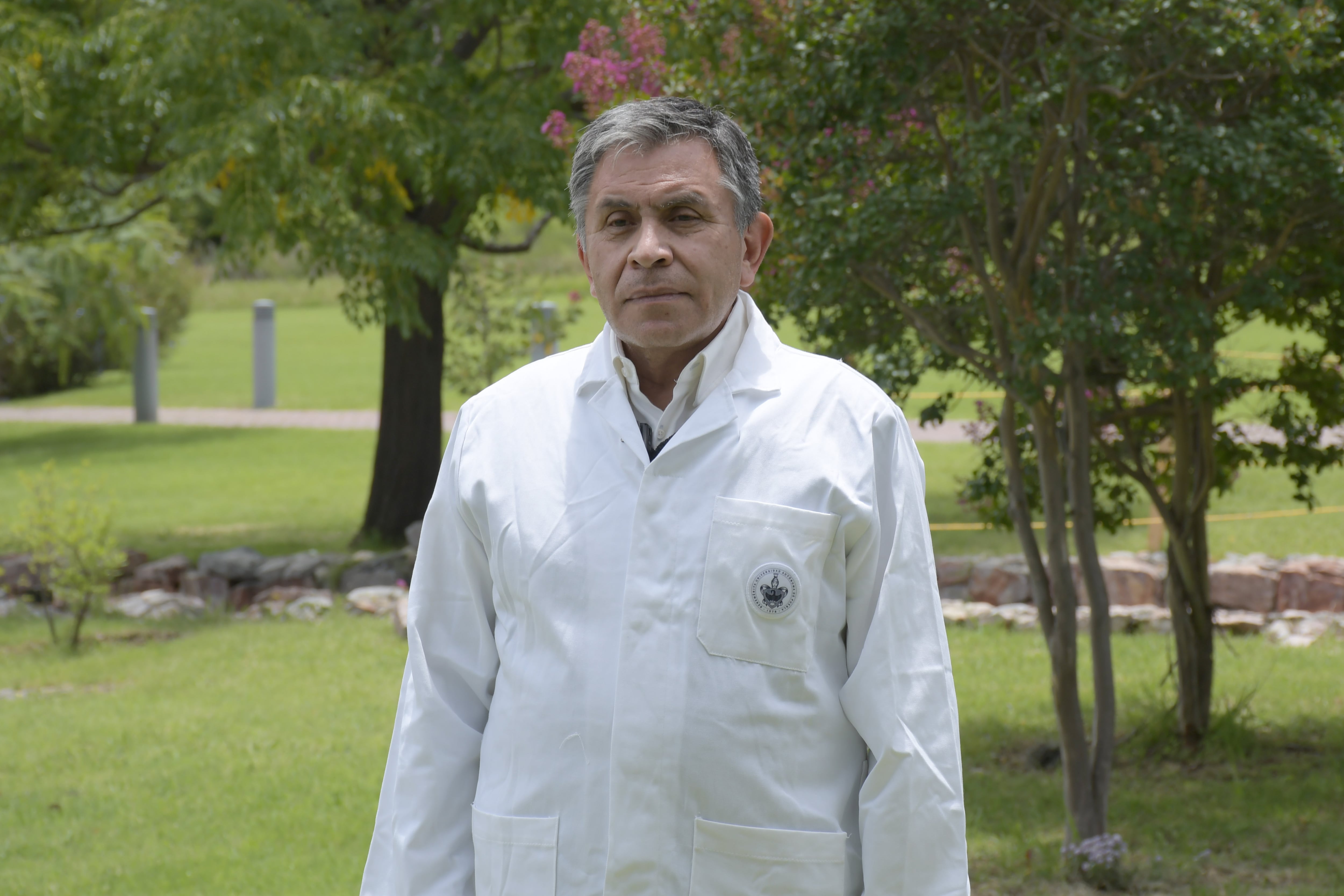 BUAP crea "vacuna" con nanomateriales que elimina 90% de plagas en pinos y encinos.