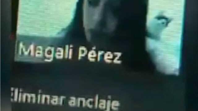 Un gato decidió aparecer en la clase de Zoom de su dueña