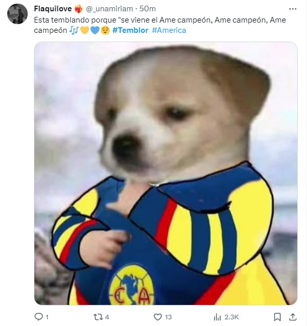 Memes por el sismo del 14 de diciembre