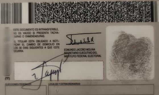 Supuesta credencial de elector de Chabelo