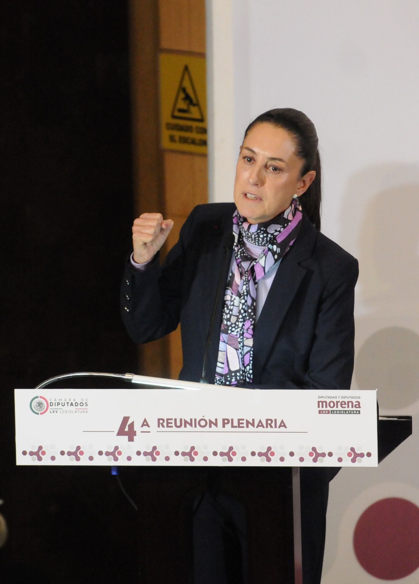 Claudia Sheinbaum