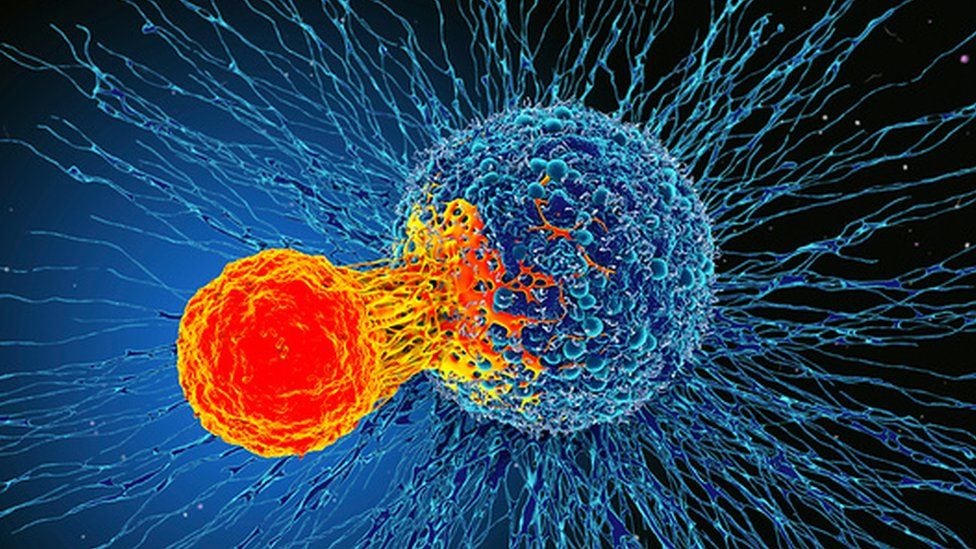 Células cancerígenas