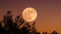 ¿Cuándo ver la Luna de Ciervo 2026 en México? Fecha y hora