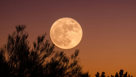 ¿Cuándo ver la Luna de Ciervo 2026 en México? Fecha y hora