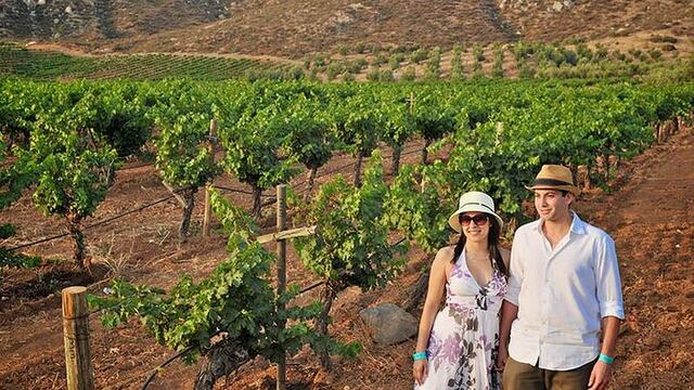 Ruta del Vino Valle de Guadalupe