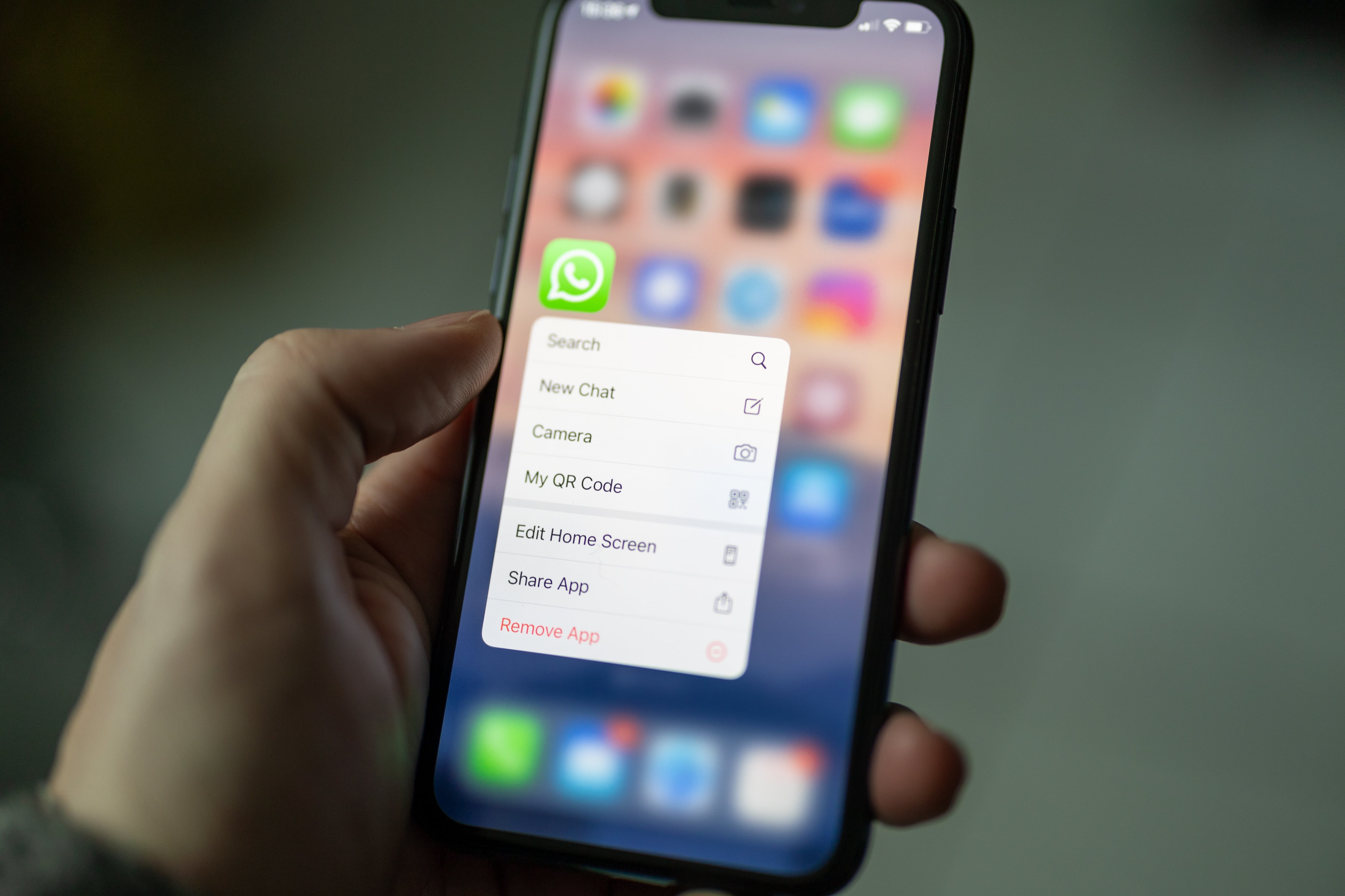 WhatsApp Logo