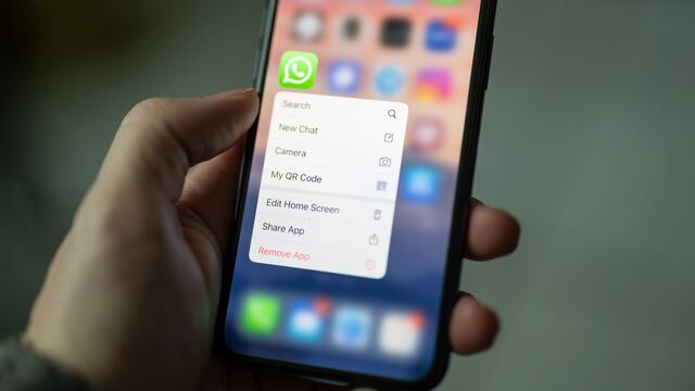 WhatsApp Logo