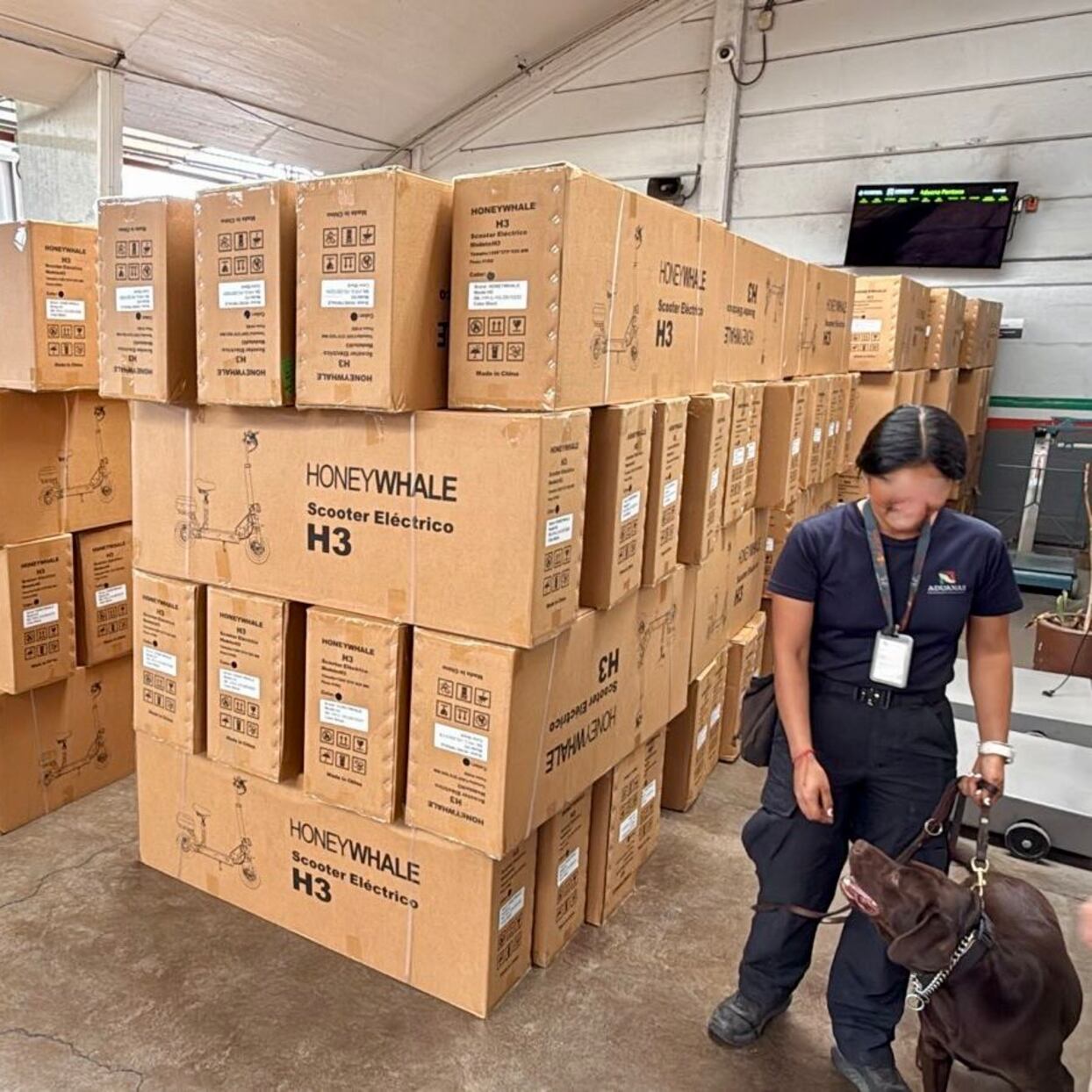 Duro golpe al contrabando de China: confiscan cientos de productos y bicicletas eléctricas en CDMX