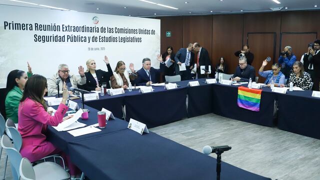 Comisiones aprueban Ley General del Sistema Nacional de Seguridad Pública