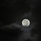 ¿Qué significa la Luna del Castor de noviembre 2024?