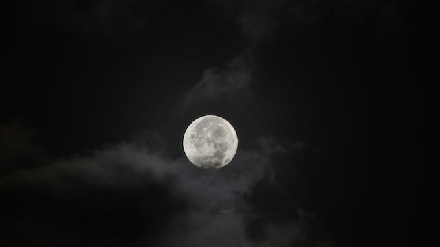 El significado de la Luna del Castor de noviembre 2024