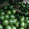 Hay paro de limoneros en Michoacán por esta razón