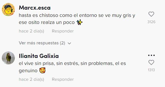 Comentarios