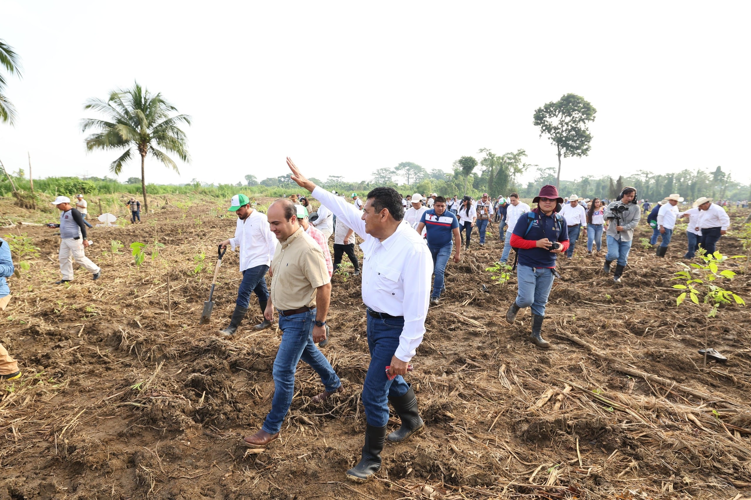 Javier May encabeza jornada de reforestación.