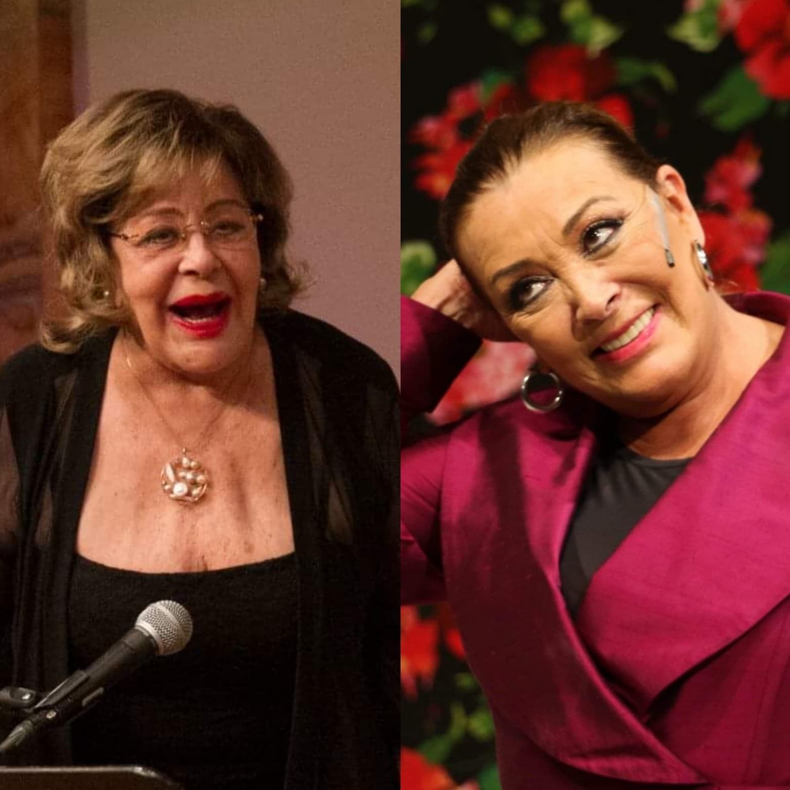 Silvia Pinal y Sylvia Pasquel.