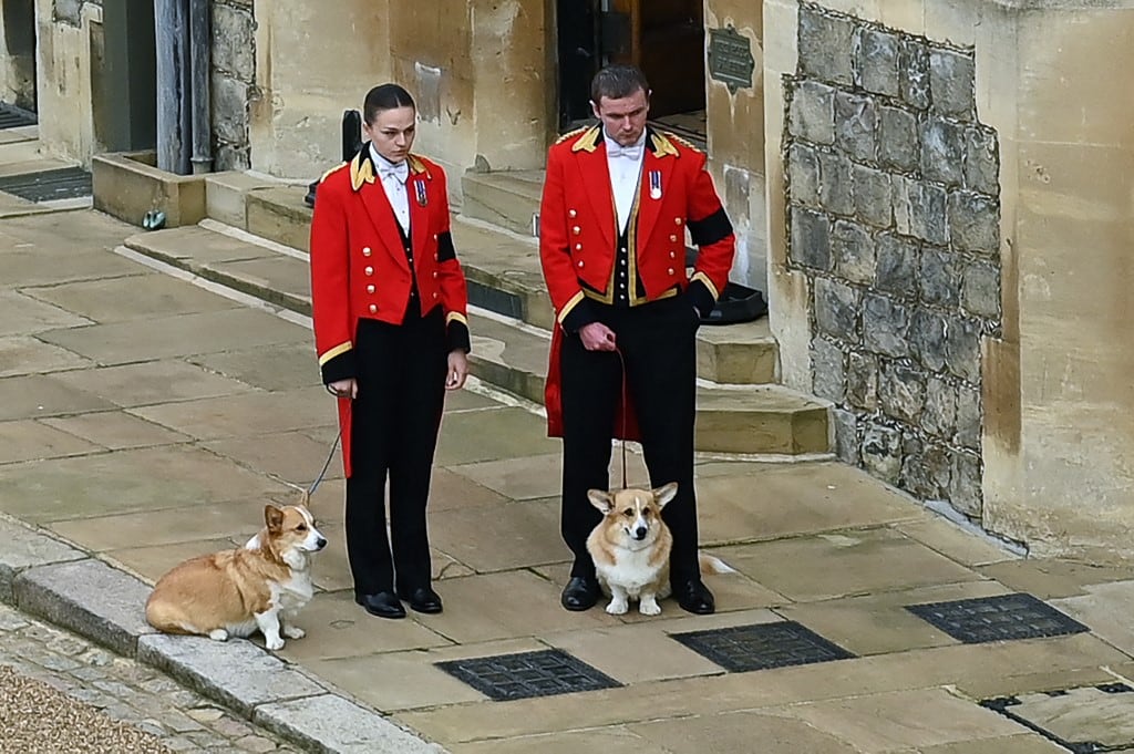Muick y Sandy, corgis de la reina Isabel II en el funeral