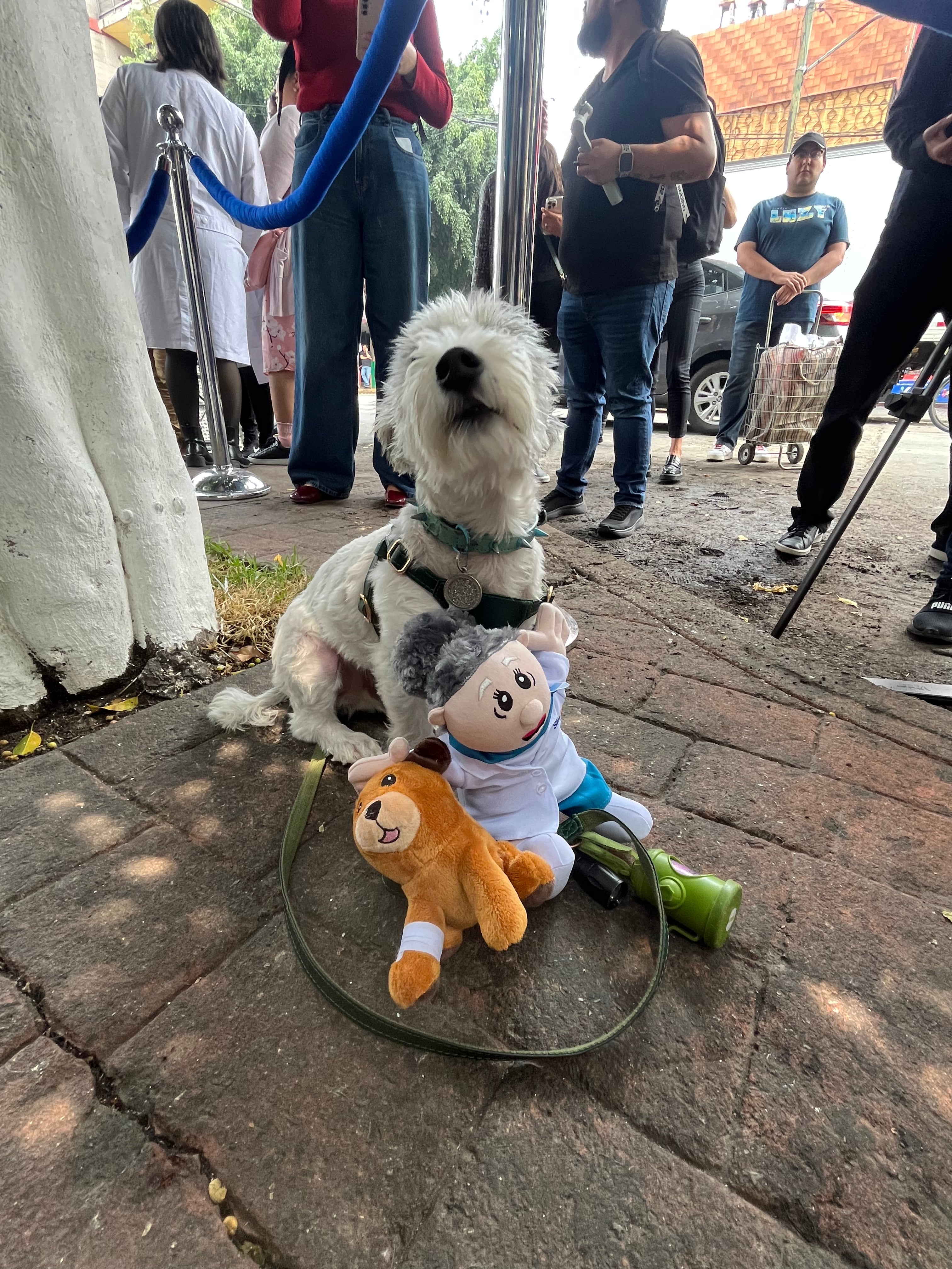 La veterinaria "Doctora Lares" se integró a la familia de Farmacias Similares y Dr. Simi