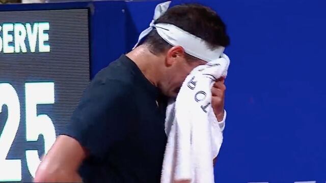 Juan Martín del Potro rompe en llanto