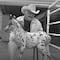 ¿Cuánto cuestan los caballos de Vicente Fernández? Esto sabemos de los exclusivos ejemplares