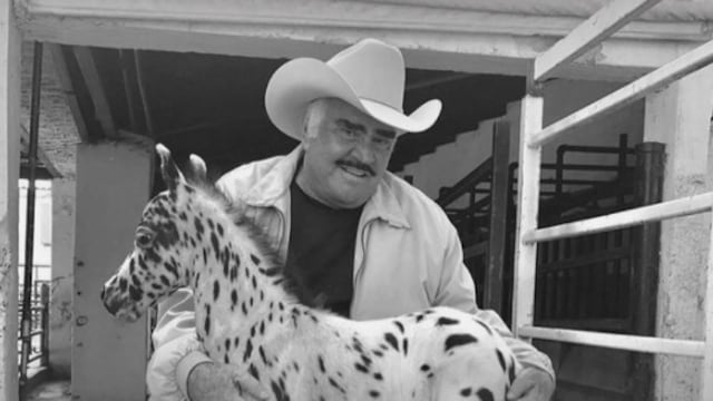 Vicente Fernández y su 'caballo miniatura'.