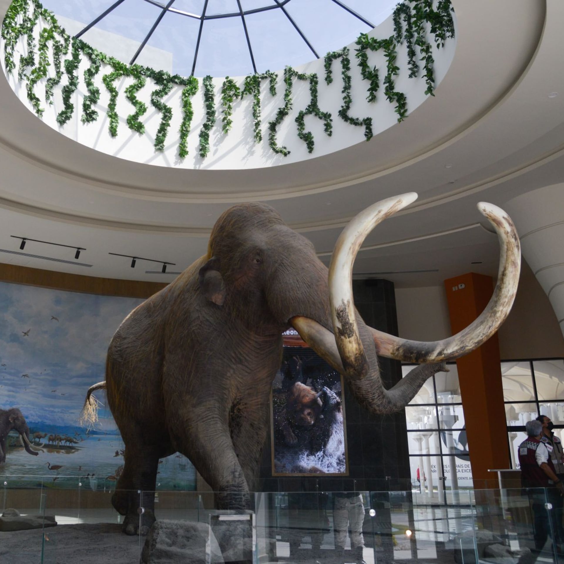 Jean-Michel Jarre, la NASA y el AIFA