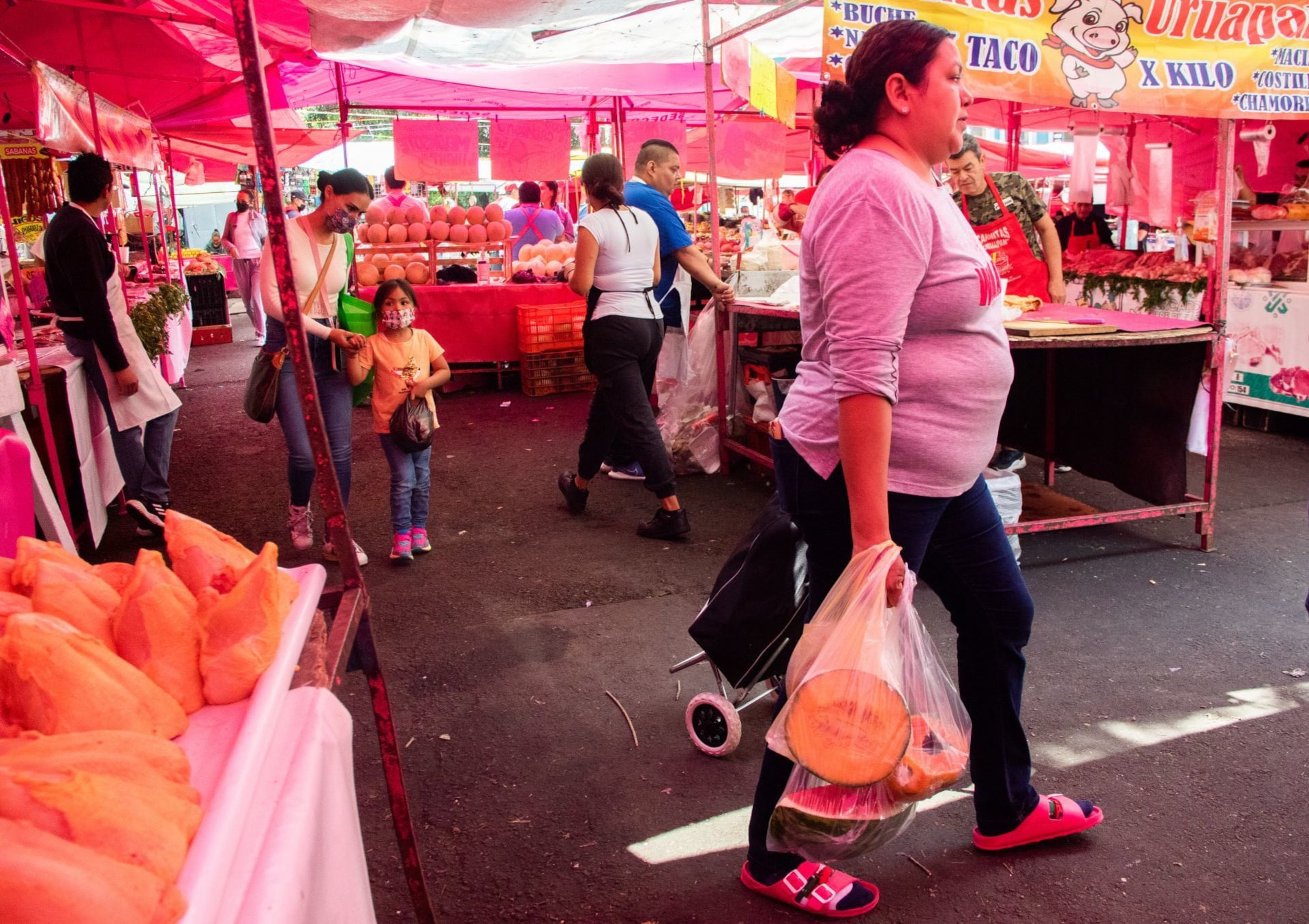 Compras de despensa familiar
