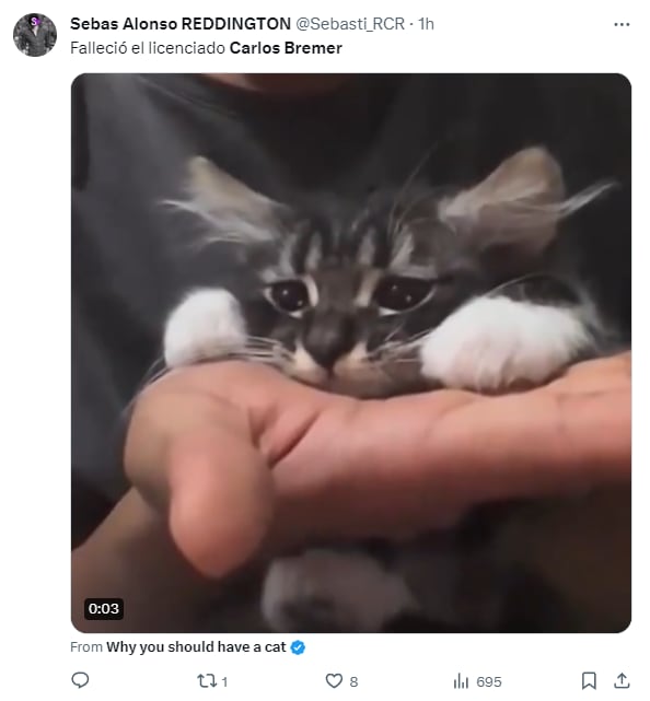 Memes por la muerte de Carlos Bremer