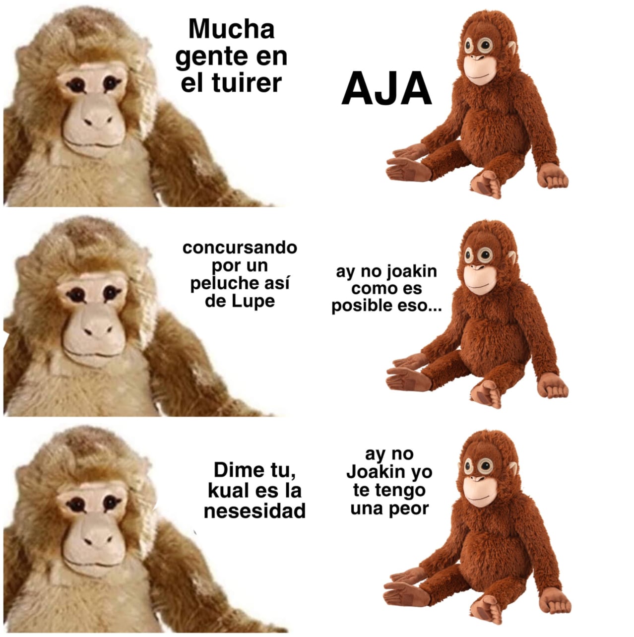 Meme de orangután 'Lupe'