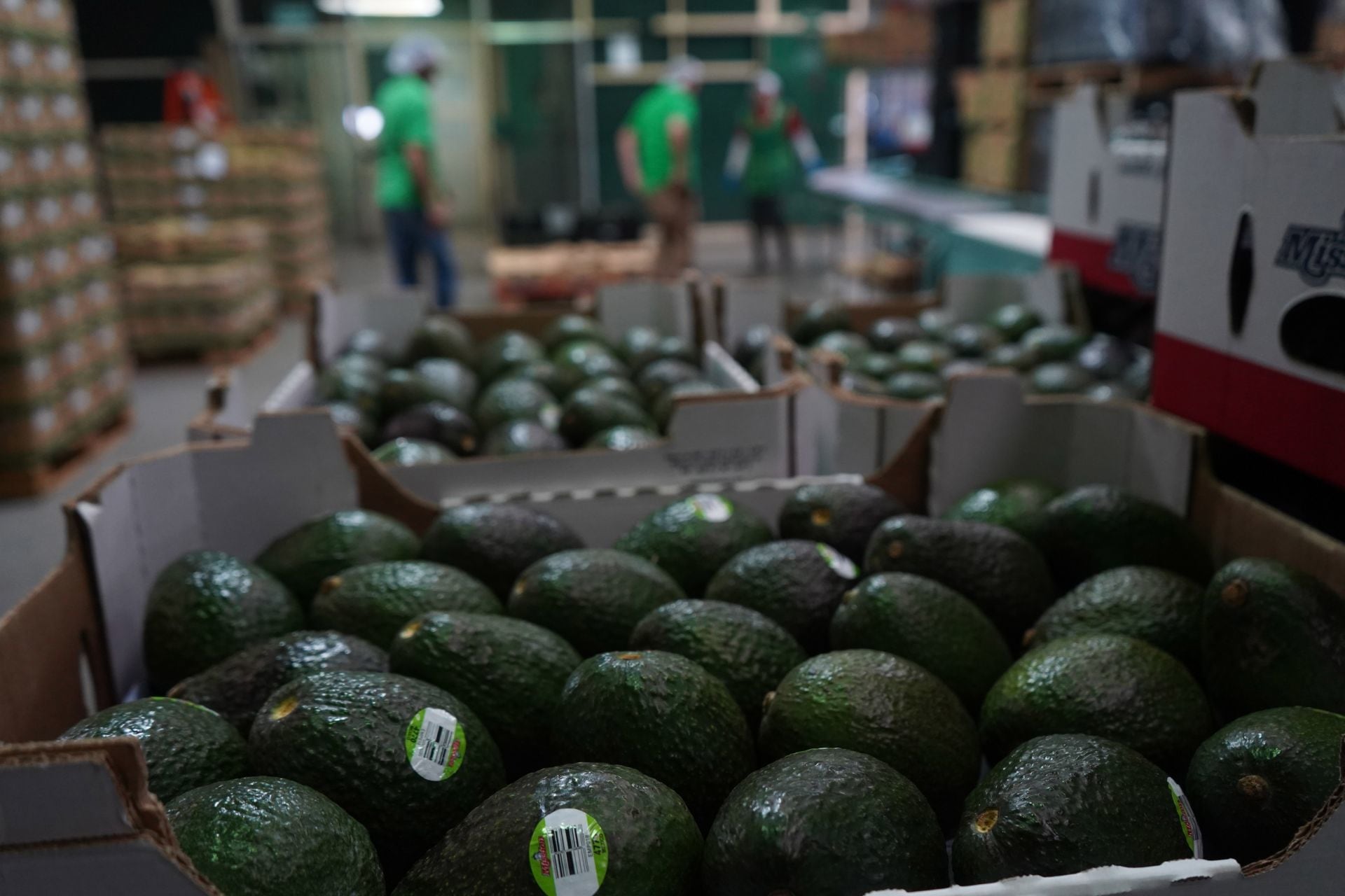 Exportaciones de México a Estados Unidos