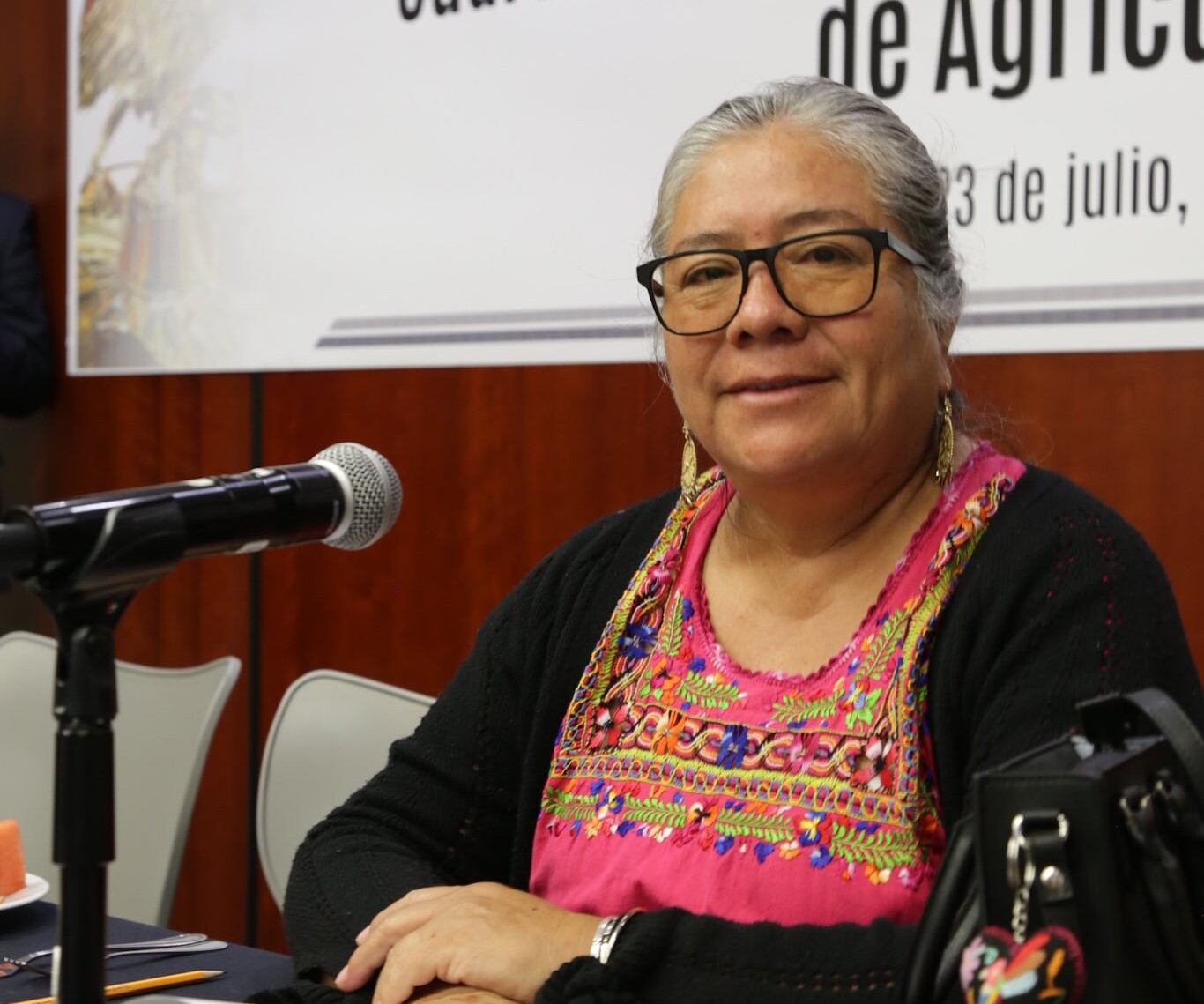 Luisa Cortés García, senadora de Morena