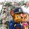 ¿Chase y Skye son pareja? Los fans de Paw Patrol los casaron en una historia no apta para niños