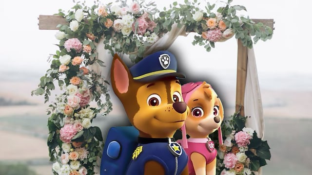 La inesperada historia de Chase y Bluey casados