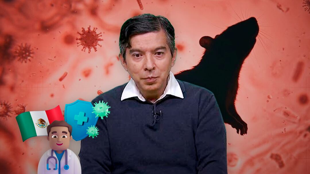 Secretaría de Salud confirma que no hay hantavirus en México