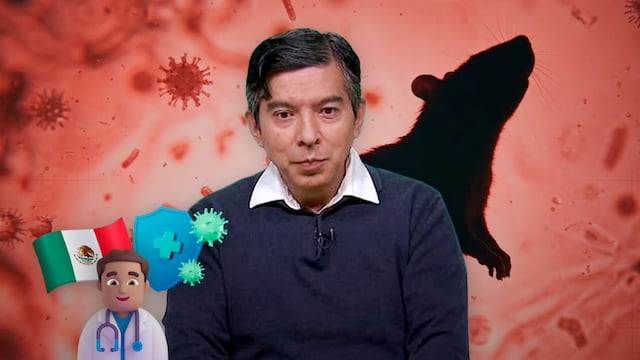 Secretaría de Salud confirma que no hay hantavirus en México