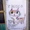 Niño busca a su gato con dibujo; ofrece Cheetos y refresco como recompensa