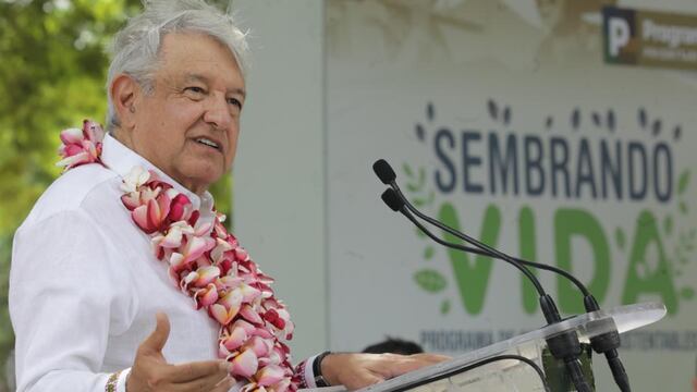 AMLO