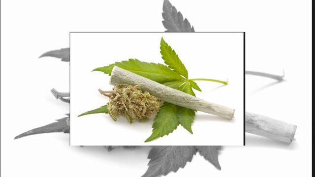 El consumo de tanto de la marihuana como de las drogas sintéticas van en un incremento exponencial que oscila entre el 0.5%