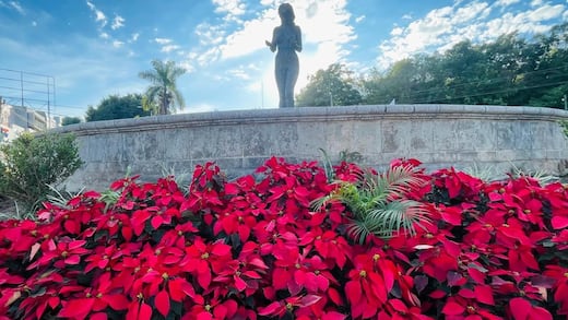 Navarro decide retirar la escultura “Hermana Agua”
