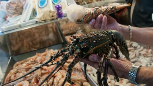 Los crustáceos deberán permanecer en su entorno natural.