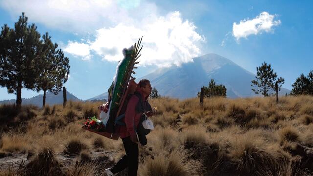 Peregrinos se dirigen a la Basílica de Guadalupe