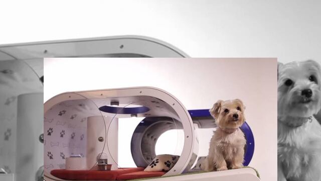 Dicen que esta casa es la casa de los sueños de un perro, aunque creemos que ese deseo le pertenece al dueño.