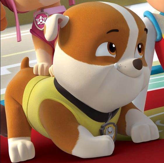 Imágenes que demuestran que raza es Rubble de Paw Patrol