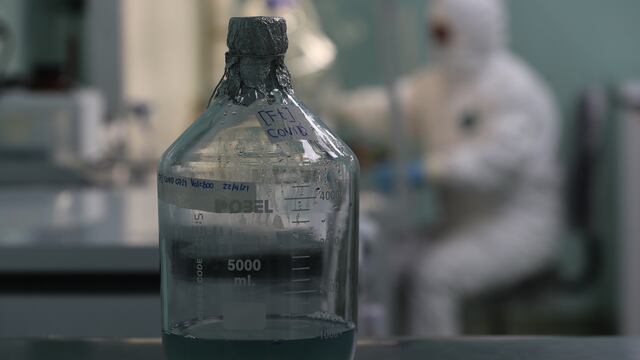 Una nueva herramienta informática saca a la luz 130 milvirus desconocidos. EFE/ Martin Alipaz