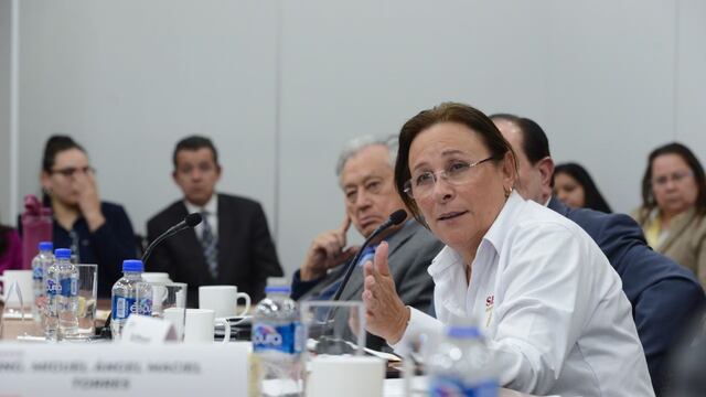 Rocío Nahle, titular de la Sener.